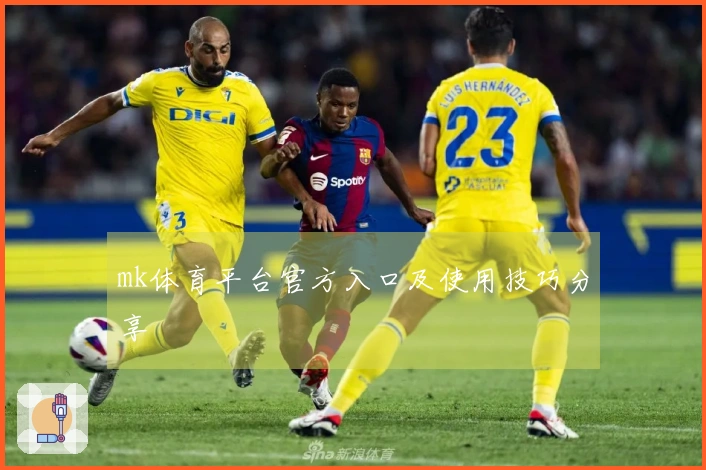 mk体育平台官方入口及使用技巧分享