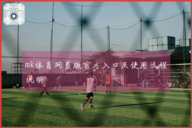 mk体育网页版官方入口及使用流程说明